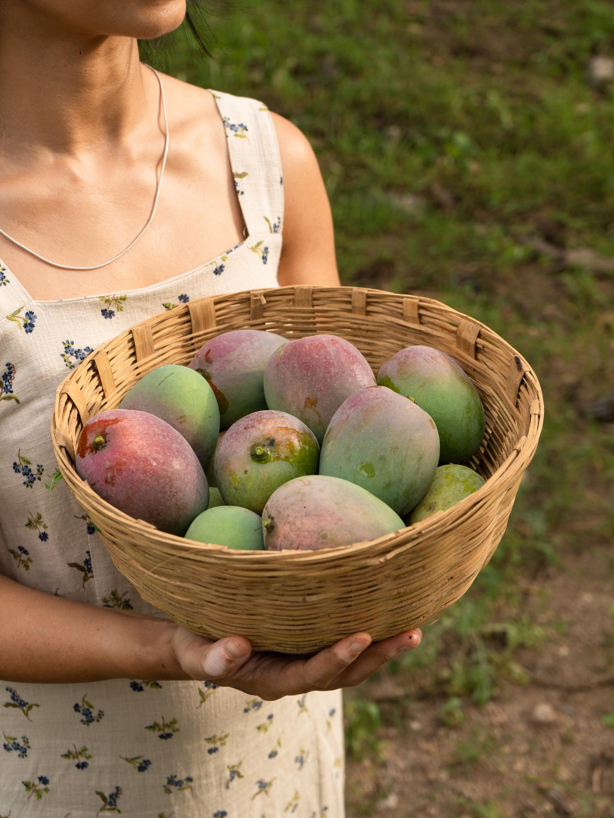 Sindhura Mango Box (shipping to Karnataka, Tamil Nadu, Andhra Pradesh, Puducherry Only)