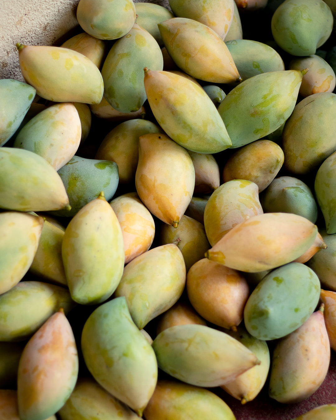 Totapuri Mango - Raw (Pickling/Salads)