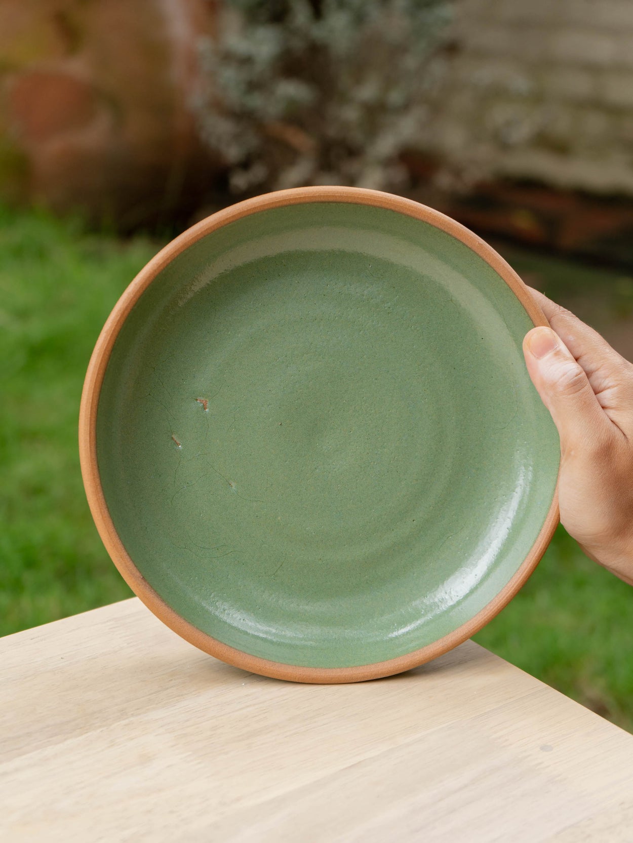 Wild Bamboo Glow Plate